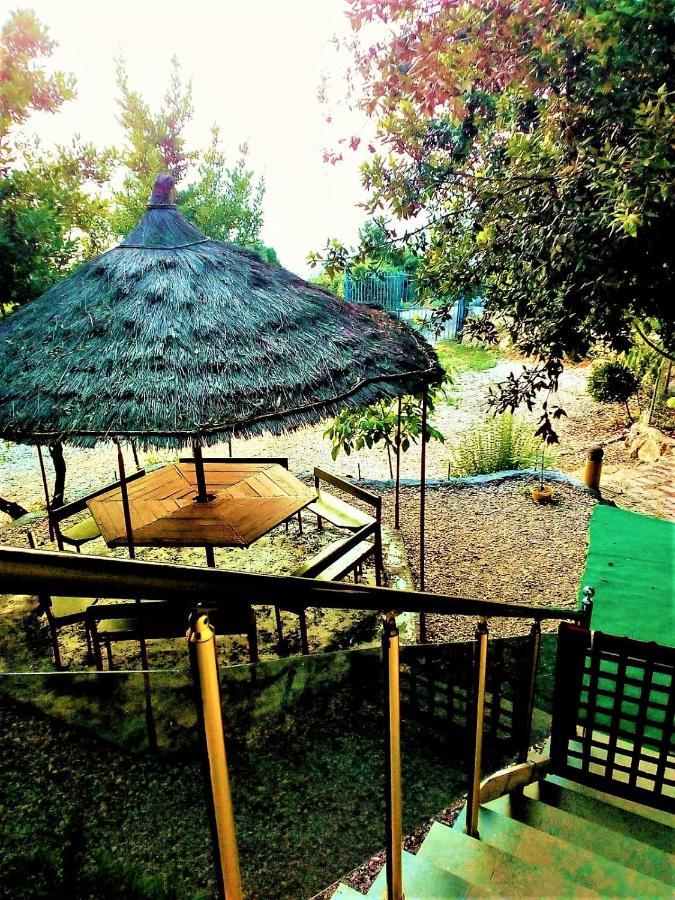 Ramo'S Green Beachside Retreat - Cozy 2 Bedroom Home Vlorë Exteriér fotografie